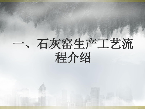 最新石灰窑生产工艺流程培训课件