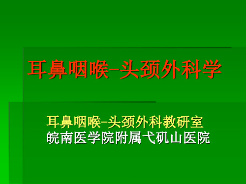 鼻科解剖和生理