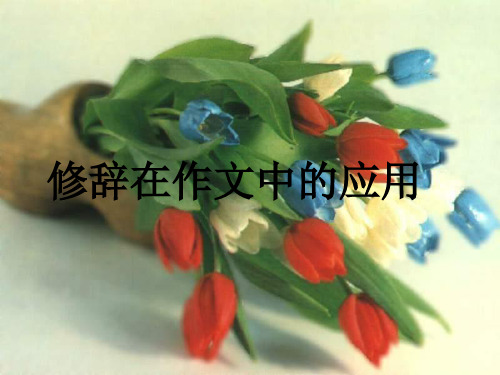初中作文指导：《修辞在作文中的应用》PPT