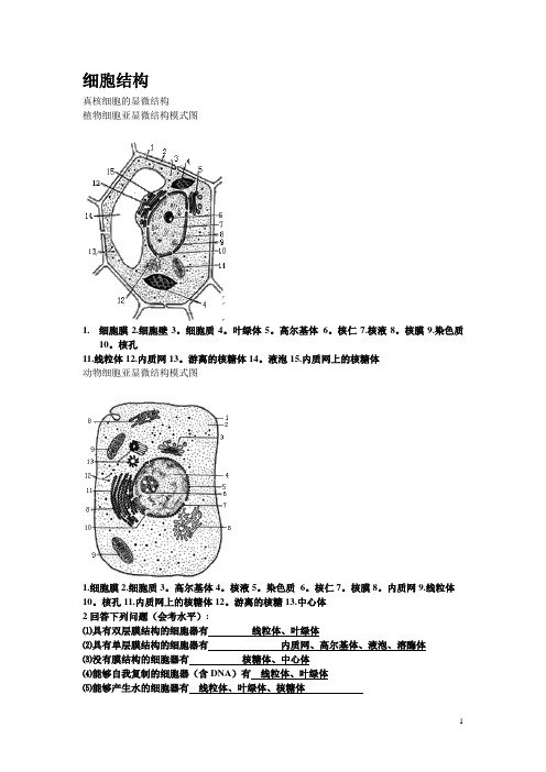 细胞结构图