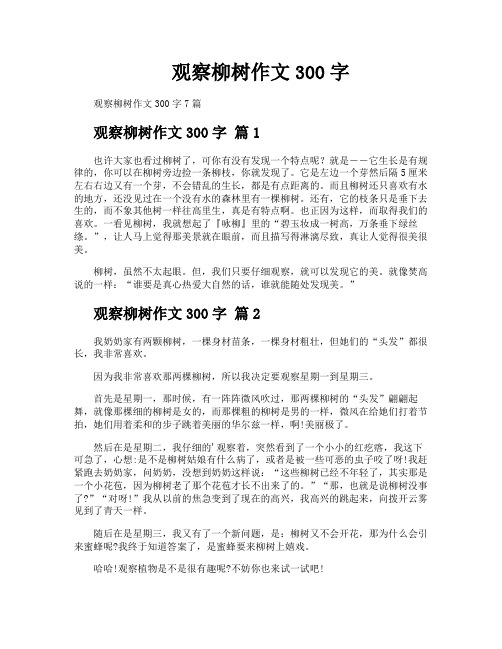 观察柳树作文300字