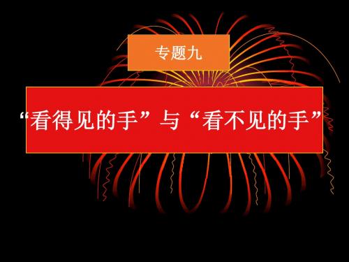 专题9.看得见的手