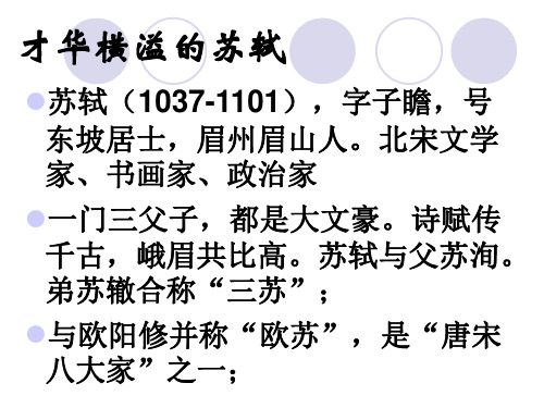 苏轼《定风波》使用