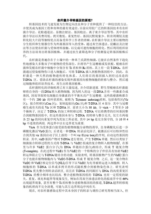 农杆菌介导转基因的原理