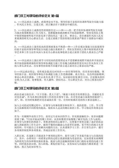 部门员工对领导的评价范文(推荐4篇)