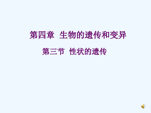 第三节性状的遗传