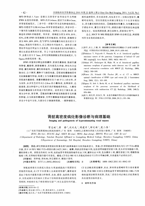 肾脏高密度病灶影像诊断与病理基础