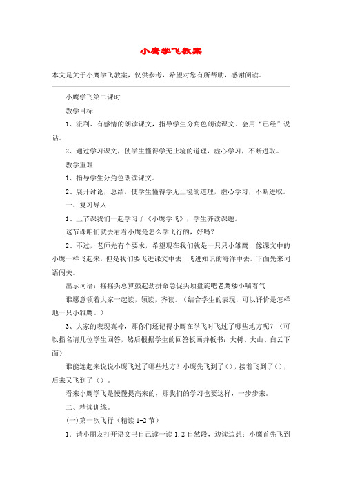 小鹰学飞教案_教案教学设计_1