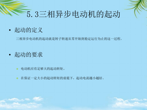 三相异步电动机的起动-最全资料PPT