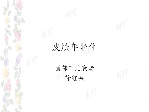 皮肤年轻化——三元抗衰ppt课件