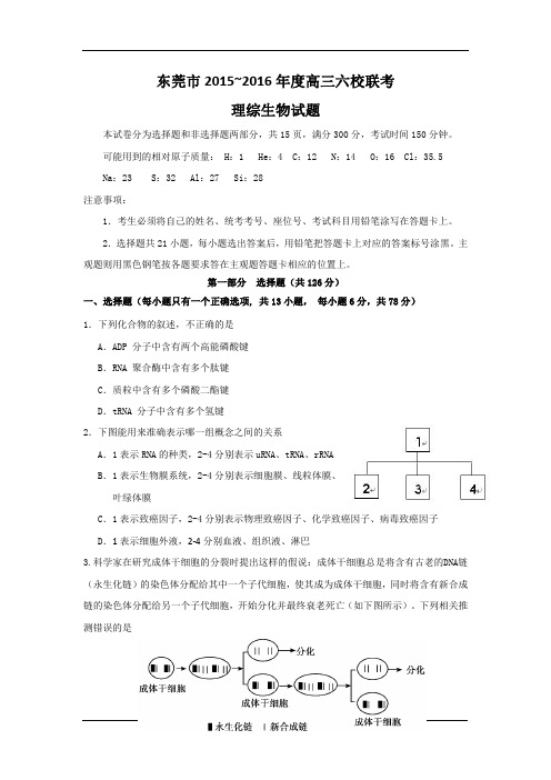 高考模拟试题_广东省东莞市六校2016届高三上学期联考理综生物试卷_人教新课标