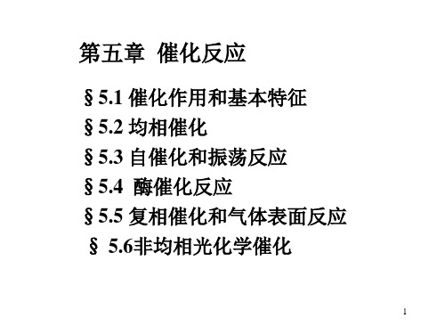 化学反应动力学-5