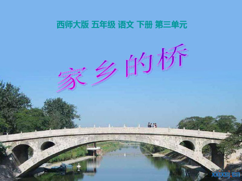 西师大版小学五年级语文下册第12课《家乡的桥PPT课件》
