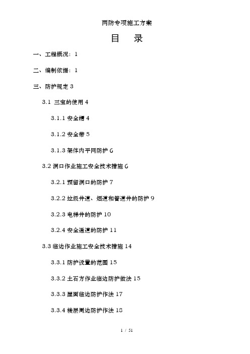 两防专项施工方案