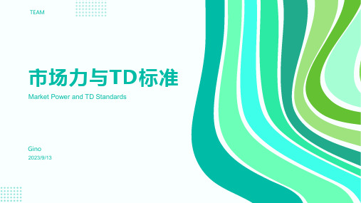 2023年TD标准的市场力解析报告模板