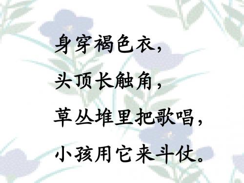29在牛肚子里旅行