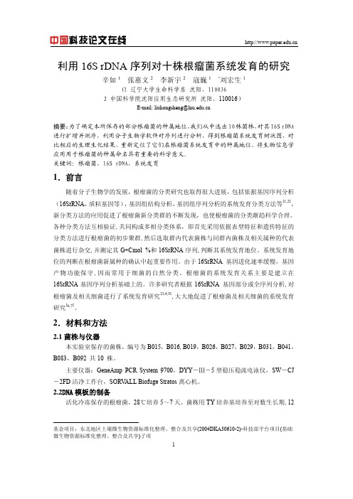 利用16s rdna序列对十株根瘤菌系统发育的研究
