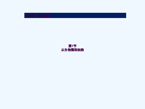 培训资料-从生物圈到细胞ppt课件