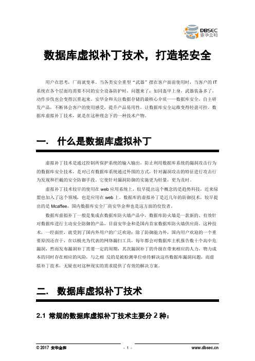 数据库虚拟补丁技术,打造轻安全