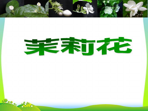人音版六年级音乐《茉莉花》课件