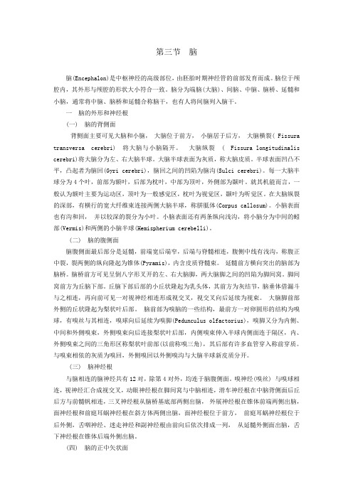 最新整理、吉林家畜解剖学(主编雷治海等)教案：第十二章神经系统02(农林类)畜牧兽医)