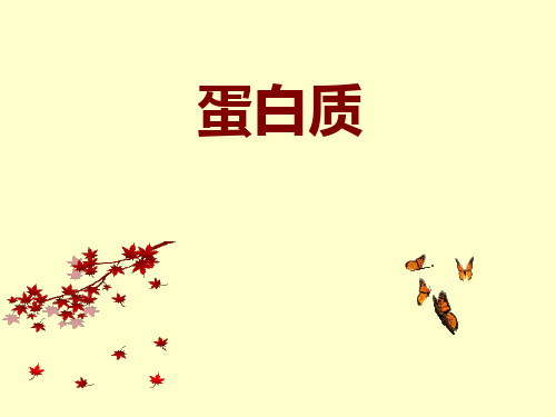 第三节第二课时 蛋白质与核酸 浙科版课件