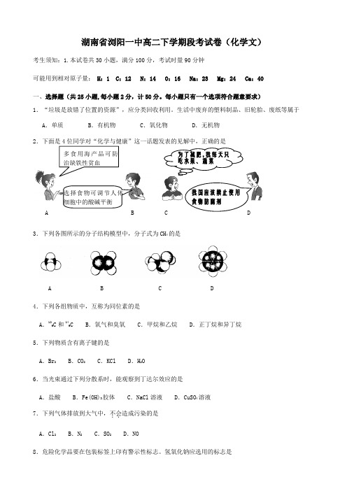 湖南省浏阳一中高二下学期段考试卷(化学文).doc