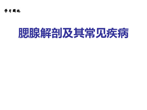 腮腺的解剖及常见疾病ppt课件