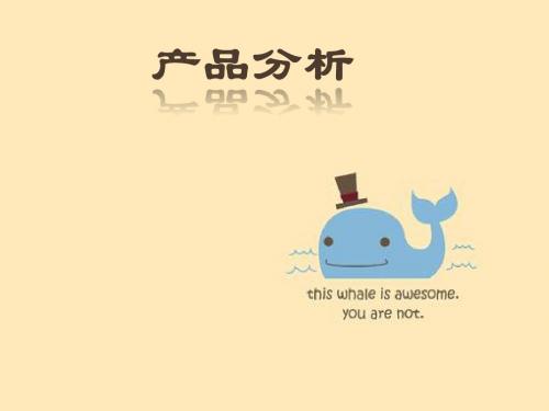 产品分析