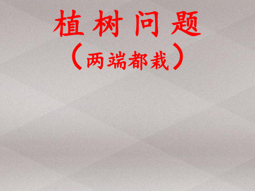 五年级上册数学课件-7 数学广角──植树问题｜人教版(共20张PPT)