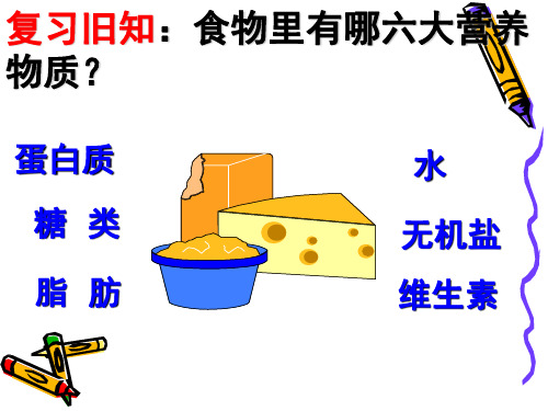 北师大版生物七年级下册：8.2 食物的消化和营养物质的吸收 课件 (共21张PPT)