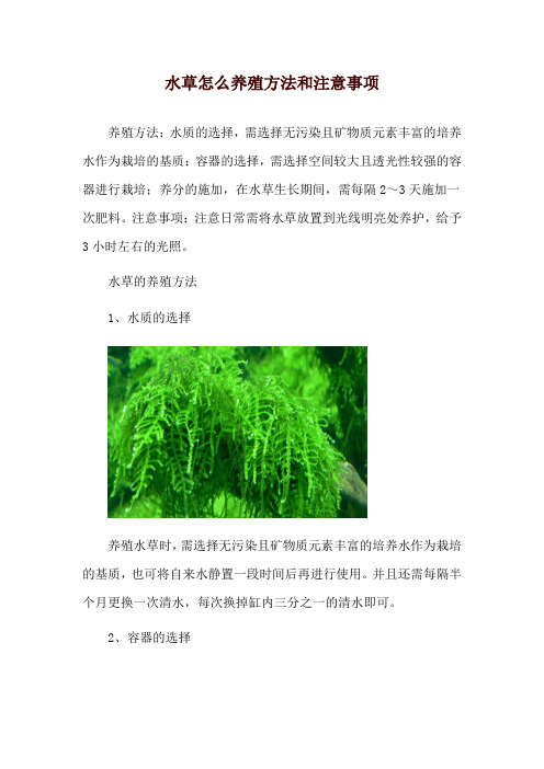 水草怎么养殖方法和注意事项