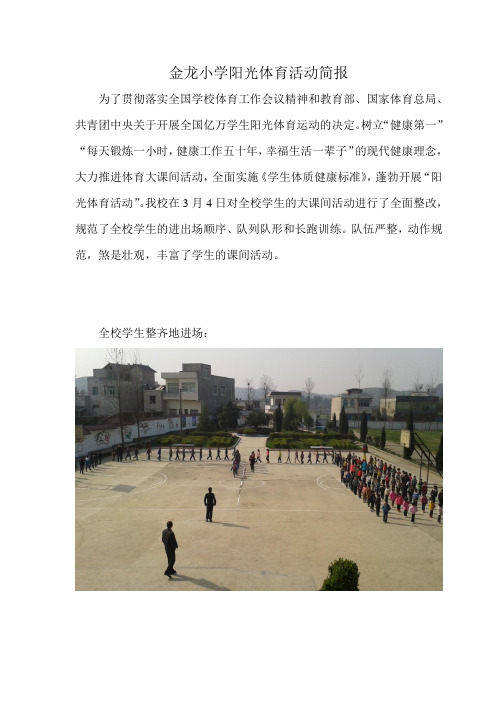 活动简报3月