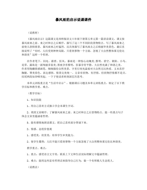 暴风雨的启示说课课件