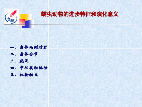 古生物地史学讲义软体动物门PPT课件