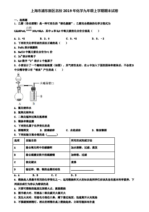 上海市浦东新区名校2019年化学九年级上学期期末试卷