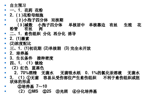 月季花药离体培养