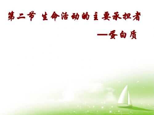 人教版高中生物必修一第2章第2节生命活动的主要承担者——蛋白质  课件(共32张PPT)