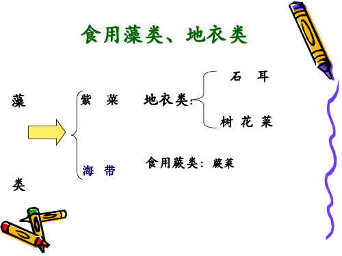 食用藻类地衣类