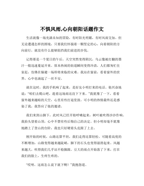 不惧风雨,心向朝阳话题作文