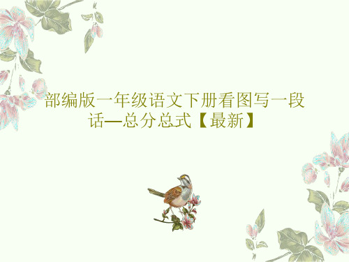 部编版一年级语文下册看图写一段话—总分总式【最新】31页PPT