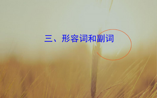 2018年高考英语外研版一轮复习课件：语法专项 三、形容词和副词 精品