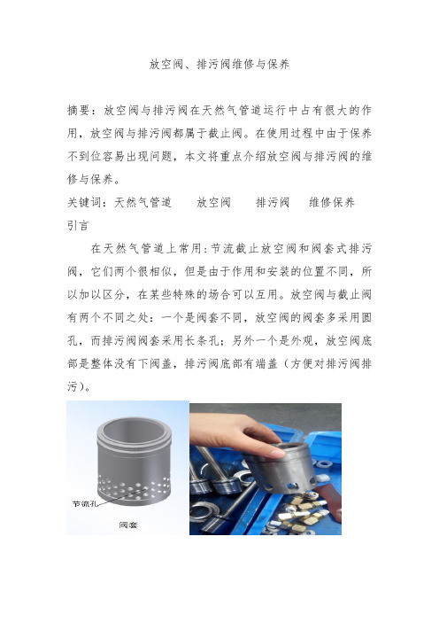 放空阀、排污阀维修与保养(王云普)讲解