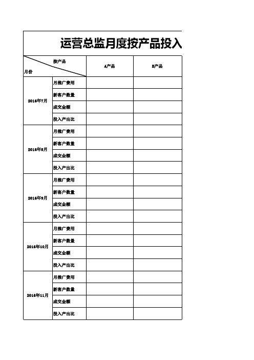 网络运营总监按产品及平台投入产出月度分析表