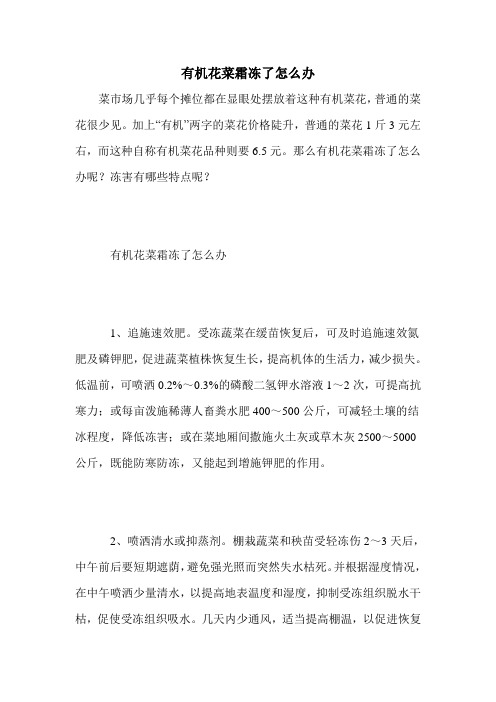 有机花菜霜冻了怎么办