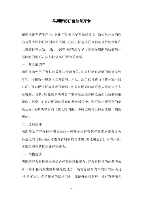 早期断奶仔猪如何开食