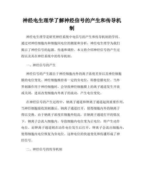 神经电生理学了解神经信号的产生和传导机制