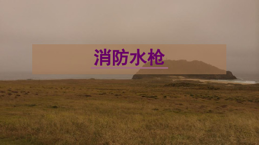 消防水枪.pptx