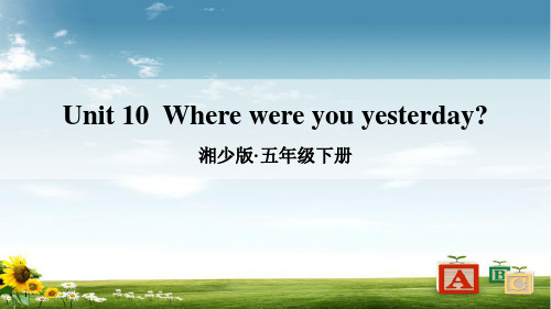 湘少版五年级英语下册Unit 10  Where were you yesterday