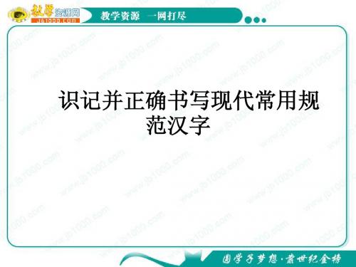 2011年高考语文复习课件：识记并正确书写现代常用规范汉字